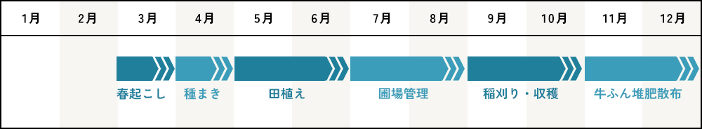 栽培シーズン