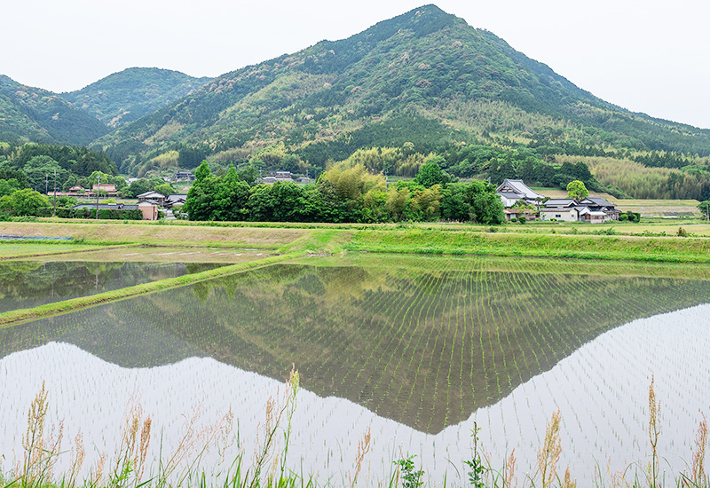 水に関すること